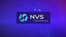 nvs-consulting